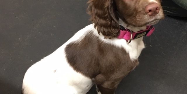 Ruby