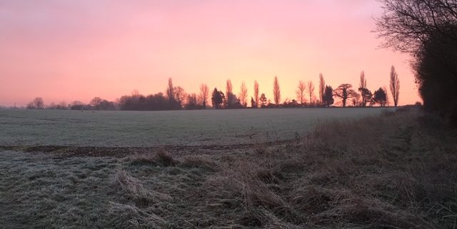 sunset